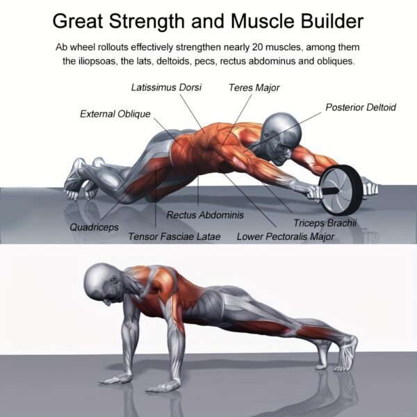 efd584c099344d6dcb0afded8de803ee.jpg Pro Ab Roller Wheel Core Strength Abdominal Muscle Trainer for Home Workout